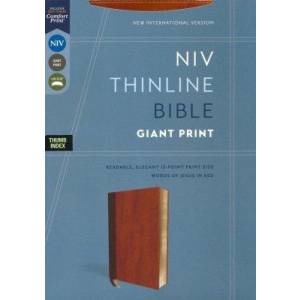 Niv Thinline Giant Print Brown